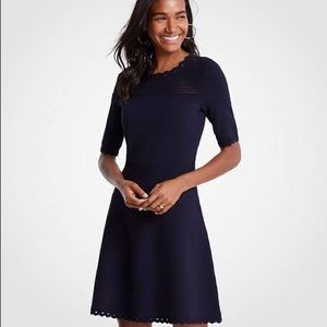 Ann Taylor sweater dress scallop pointelle size S